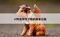 cf外挂软件下载的简单介绍