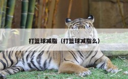 打篮球减脂（打篮球减脂么）