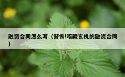 融资合同怎么写（警惕!暗藏玄机的融资合同）