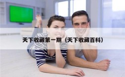天下收藏第一期（天下收藏百科）
