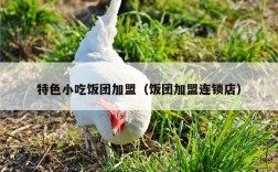 特色小吃饭团加盟（饭团加盟连锁店）