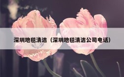 深圳地毯清洁（深圳地毯清洁公司电话）