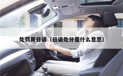 处罚用日语（日语处分是什么意思）