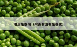 附近乐器城（附近有没有乐器卖）