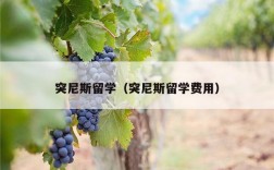 突尼斯留学（突尼斯留学费用）