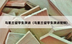 马里兰留学生演讲（马里兰留学生演讲视频）