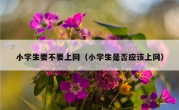 小学生要不要上网（小学生是否应该上网）