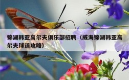 锦湖韩亚高尔夫俱乐部招聘（威海锦湖韩亚高尔夫球道攻略）