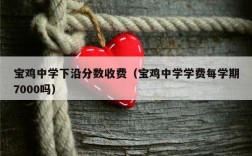 宝鸡中学下沿分数收费（宝鸡中学学费每学期7000吗）
