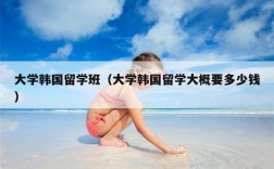 大学韩国留学班（大学韩国留学大概要多少钱）