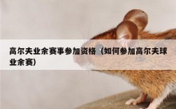 高尔夫业余赛事参加资格（如何参加高尔夫球业余赛）