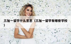 三加一留学什么意思（三加一留学有哪些学校）