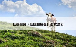 低碳厨房（低碳厨房是什么意思?）