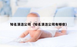 知名清洁公司（知名清洁公司有哪些）