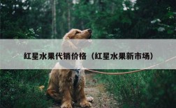 红星水果代销价格（红星水果新市场）