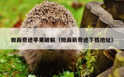微商奇迹苹果破解（微商新奇迹下载地址）