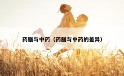 药膳与中药（药膳与中药的差异）