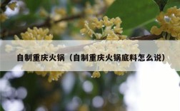 自制重庆火锅（自制重庆火锅底料怎么说）