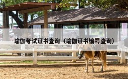 瑜伽考试证书查询（瑜伽证书编号查询）