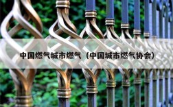 中国燃气城市燃气（中国城市燃气协会）