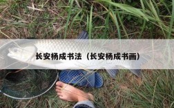 长安杨成书法（长安杨成书画）