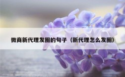 微商新代理发圈的句子（新代理怎么发圈）