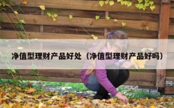 净值型理财产品好处（净值型理财产品好吗）