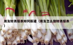 用友财务报表如何新建（用友怎么做财务报表）