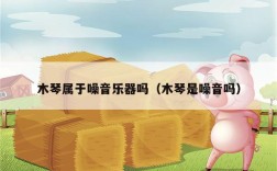 木琴属于噪音乐器吗（木琴是噪音吗）
