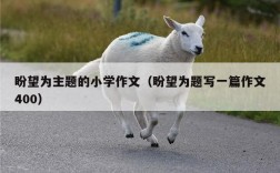 盼望为主题的小学作文（盼望为题写一篇作文400）