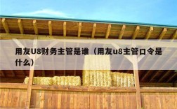 用友U8财务主管是谁（用友u8主管口令是什么）