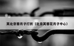 芙北京蓉月子打折（北京芙蓉花月子中心）
