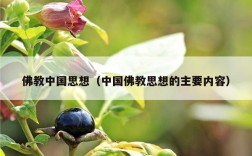 佛教中国思想（中国佛教思想的主要内容）