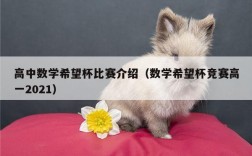 高中数学希望杯比赛介绍（数学希望杯竞赛高一2021）