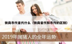 微商市代省代什么（微商省代和市代的区别）