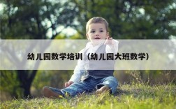 幼儿园数学培训（幼儿园大班数学）