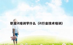 职业it培训学什么（it行业技术培训）