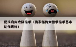 杨氏府内太极推手（杨家秘传太极拳推手基本动作训练）