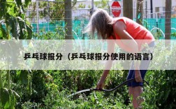 乒乓球报分（乒乓球报分使用的语言）