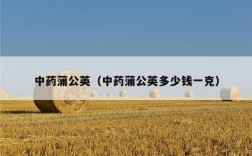 中药蒲公英（中药蒲公英多少钱一克）