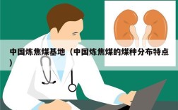 中国炼焦煤基地（中国炼焦煤的煤种分布特点）