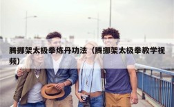腾挪架太极拳炼丹功法（腾挪架太极拳教学视频）