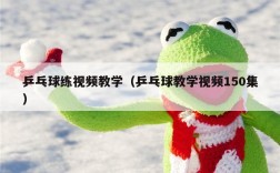 乒乓球练视频教学（乒乓球教学视频150集）