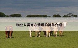 物业人员齐心清理的简单介绍