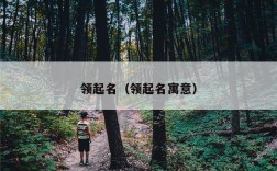 领起名（领起名寓意）