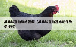 乒乓球直拍训练视频（乒乓球直拍基本动作教学视频）