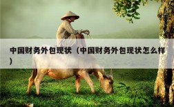 中国财务外包现状（中国财务外包现状怎么样）