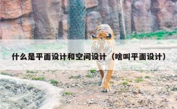 什么是平面设计和空间设计（啥叫平面设计）