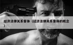 经济法律关系客体（经济法律关系客体的概念）