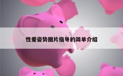 性爱姿势图片指导的简单介绍